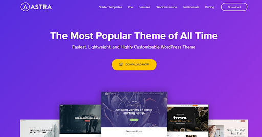 Top Free WordPress Themes For Your Website