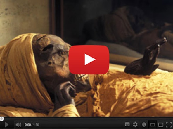 Volcanic Mineral Clay