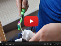 Dental Antibiotic Fix Gums Teeth Issues 